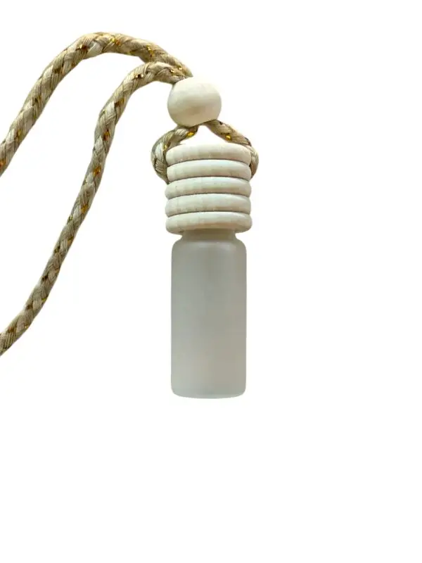 Car Diffuser